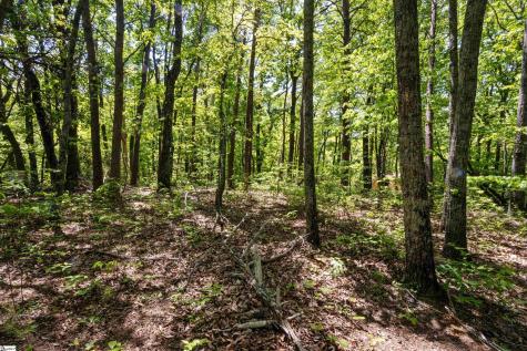 120 Chestnut Mountain Road Travelers Rest SC 29690