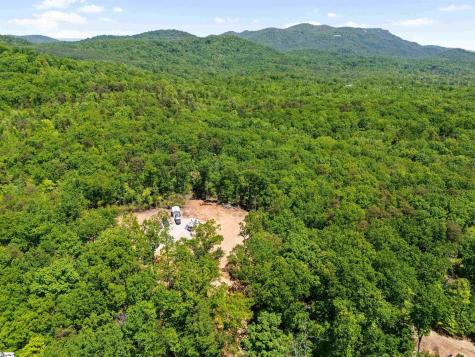 120 Chestnut Mountain Road Travelers Rest SC 29690