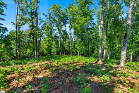 520 Chinquapin Road Travelers Rest SC 29690