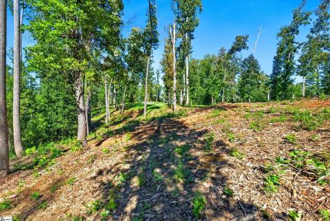520 Chinquapin Road Travelers Rest SC 29690