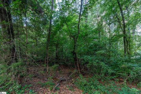 105 Jameson Drive Piedmont SC 29673