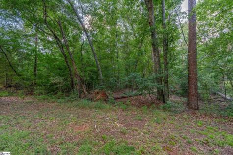 105 Jameson Drive Piedmont SC 29673