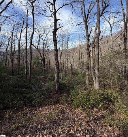 21 High Vista Way Travelers Rest SC 29690