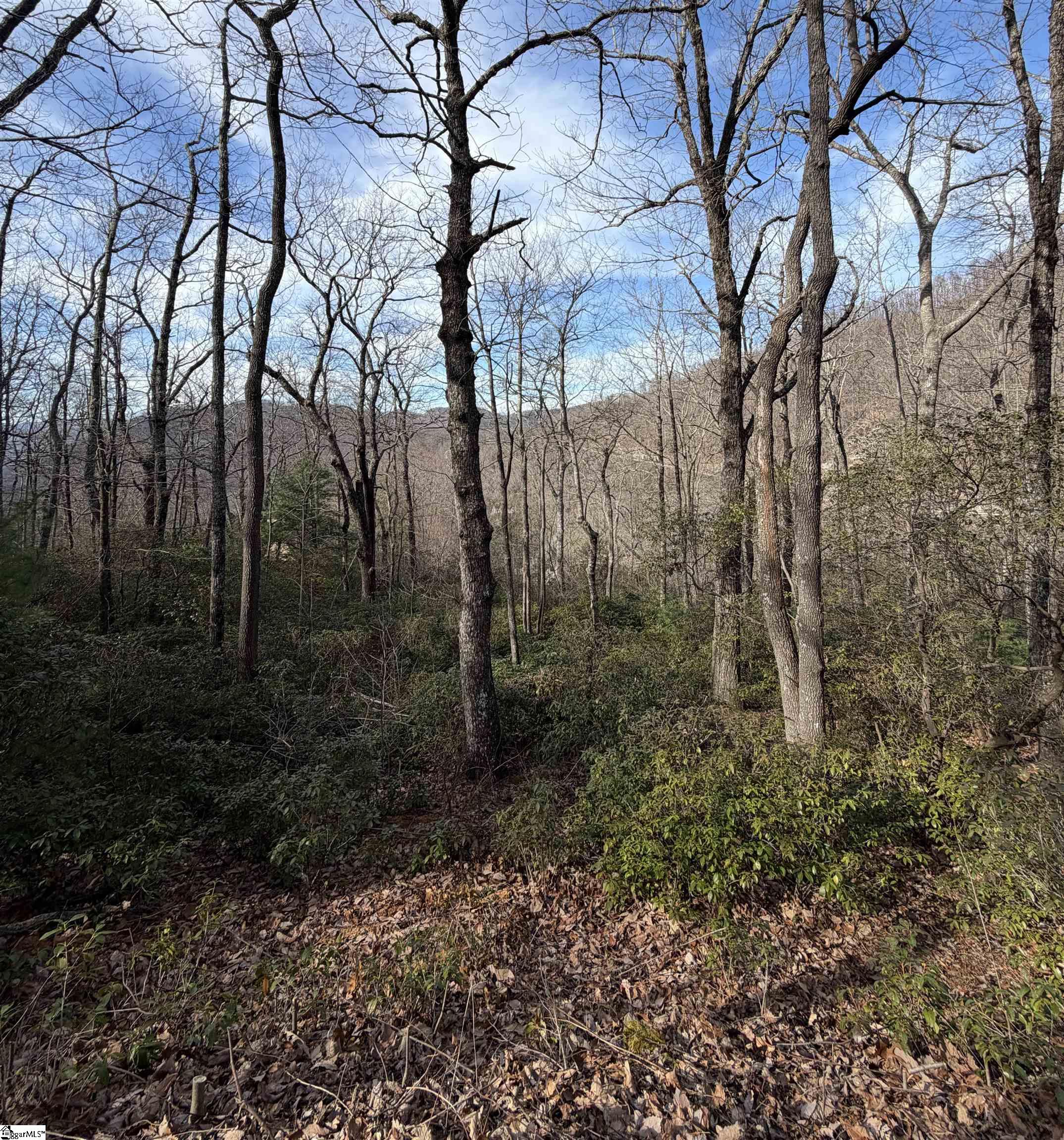 21 High Vista Way Travelers Rest SC 29690