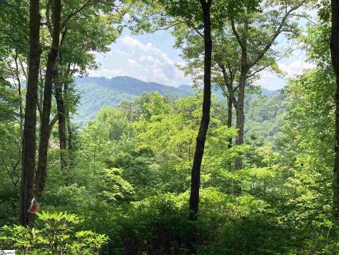 21 High Vista Way Travelers Rest SC 29690