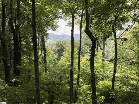 21 High Vista Way Travelers Rest SC 29690