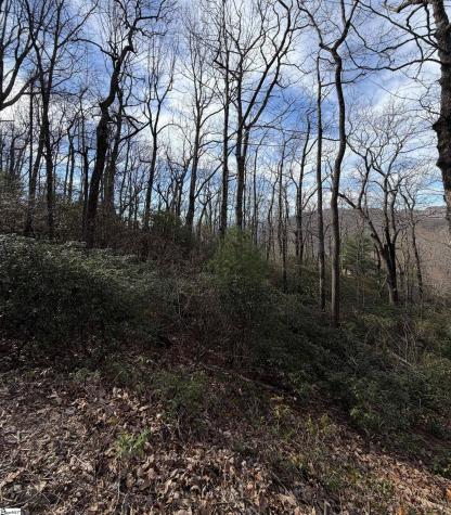 21 High Vista Way Travelers Rest SC 29690