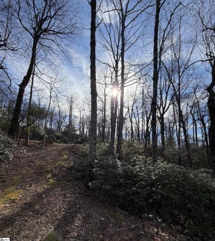 21 High Vista Way Travelers Rest SC 29690