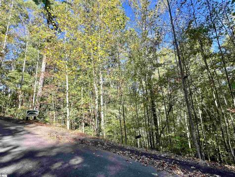 124 Falcon Crest Way Pickens SC 29671