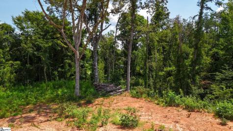 2260 Mount Lebanon Road Buffalo SC 29321