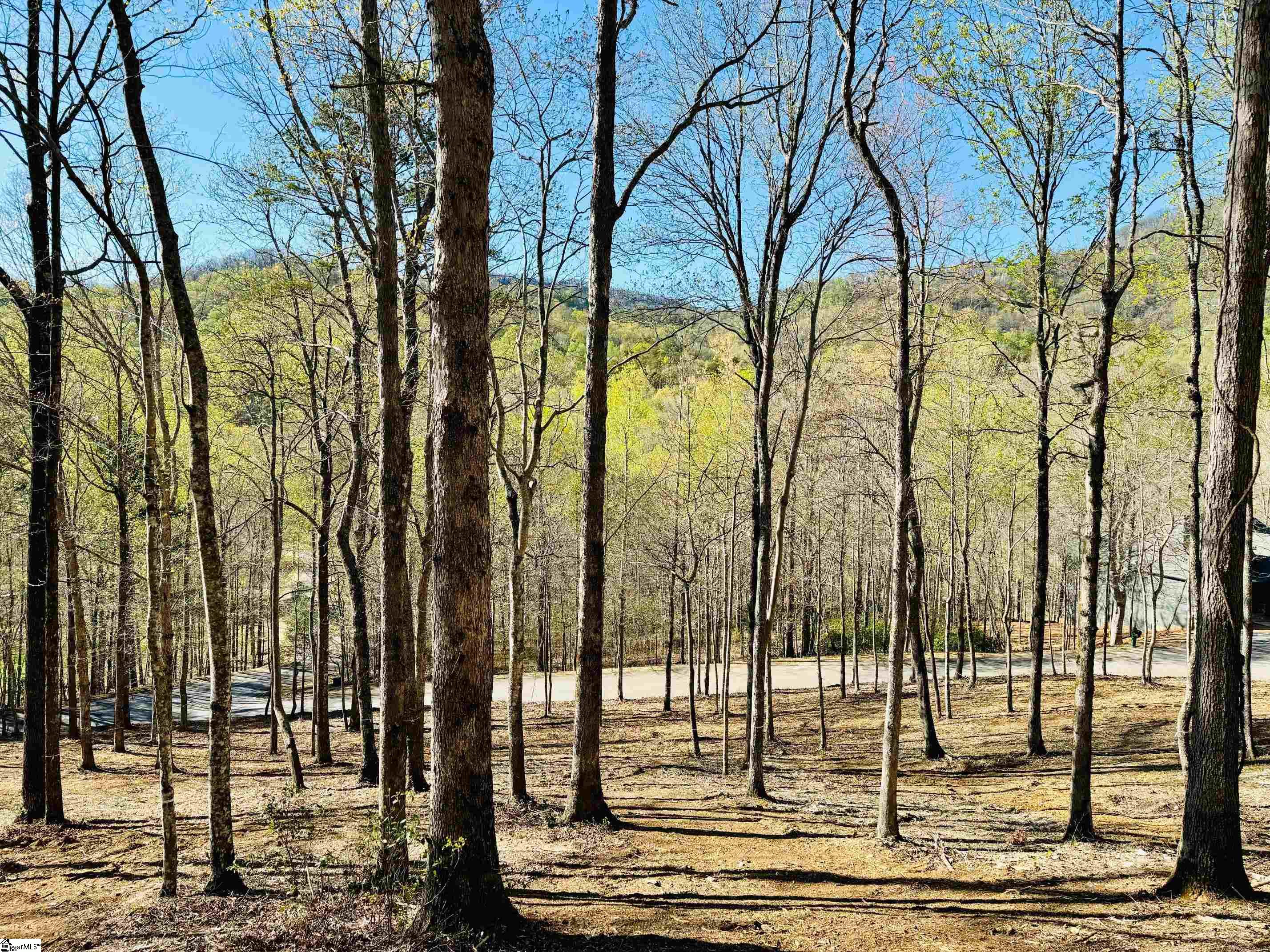 2 Buck Creek Trail Travelers Rest SC 29690