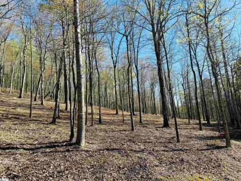 2 Buck Creek Trail Travelers Rest SC 29690