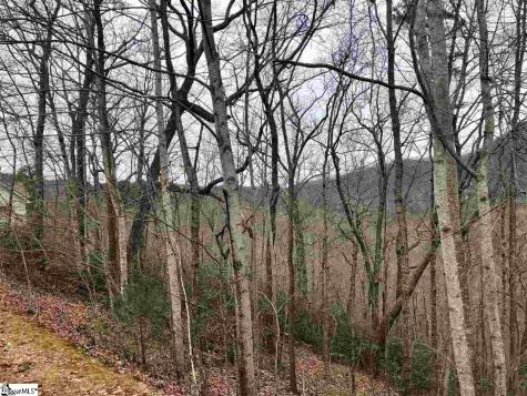 305 Sedgewick Road Travelers Rest SC 29690