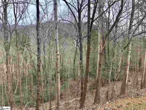 305 Sedgewick Road Travelers Rest SC 29690