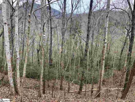 305 Sedgewick Road Travelers Rest SC 29690