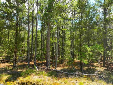 401 Coleman Road Clinton SC 29325