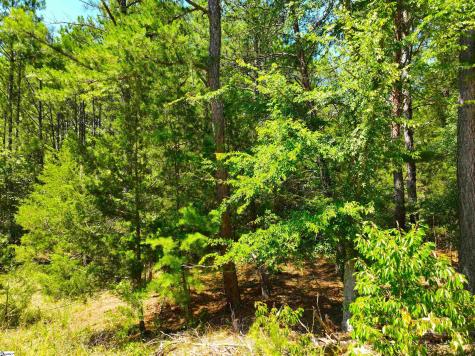 401 Coleman Road Clinton SC 29325