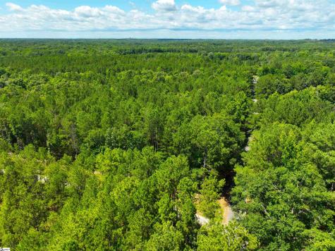 401 Coleman Road Clinton SC 29325