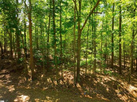 401 Coleman Road Clinton SC 29325