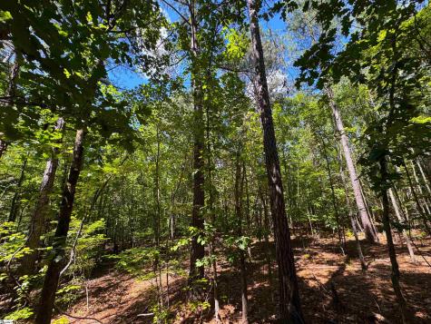 401 Coleman Road Clinton SC 29325