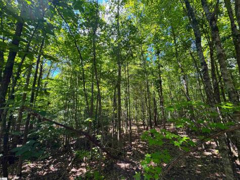 401 Coleman Road Clinton SC 29325
