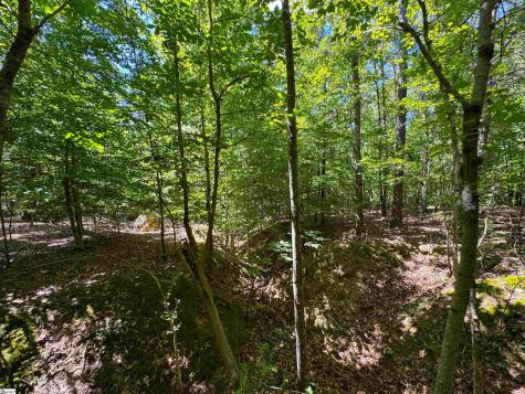 401 Coleman Road Clinton SC 29325
