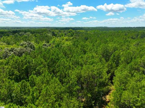 401 Coleman Road Clinton SC 29325