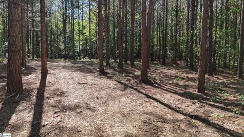 01 Lisbon Road Mountville SC 29370