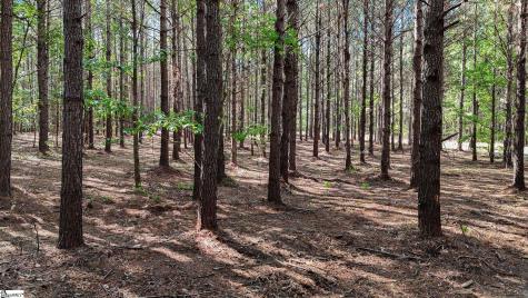 01 Lisbon Road Mountville SC 29370
