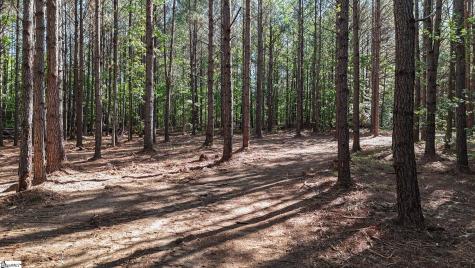 01 Lisbon Road Mountville SC 29370