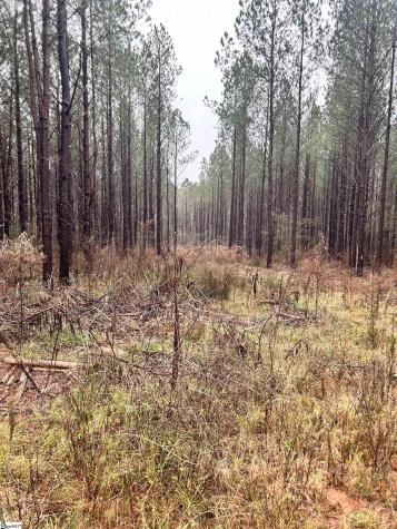 00 Columbia Road Edgefield SC 29832