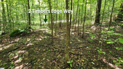 2 Timbers Edge Way Travelers Rest SC 29690