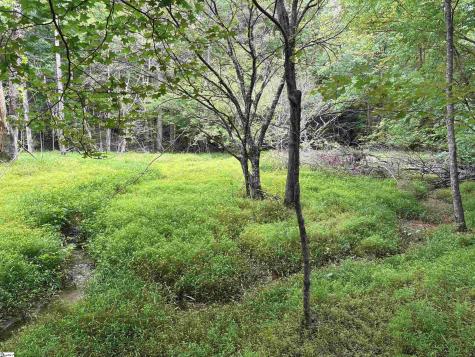 1087 Bobby Faucette Road Jonesville SC 29353