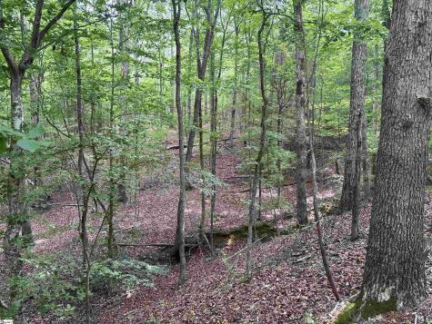 1087 Bobby Faucette Road Jonesville SC 29353