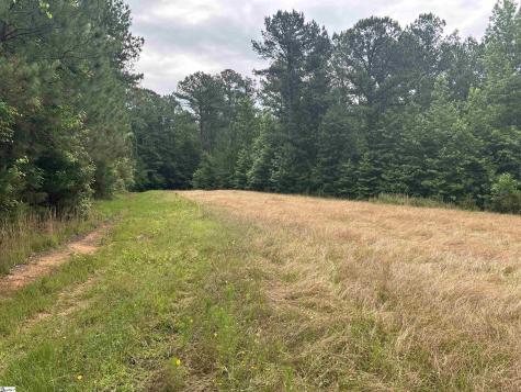 1087 Bobby Faucette Road Jonesville SC 29353