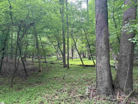 1087 Bobby Faucette Road Jonesville SC 29353