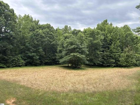 1087 Bobby Faucette Road Jonesville SC 29353