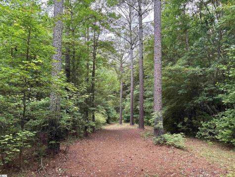 1087 Bobby Faucette Road Jonesville SC 29353