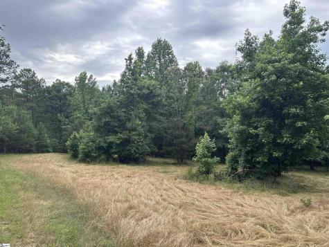 1087 Bobby Faucette Road Jonesville SC 29353