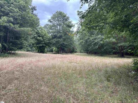 1087 Bobby Faucette Road Jonesville SC 29353