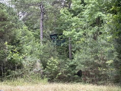 1087 Bobby Faucette Road Jonesville SC 29353