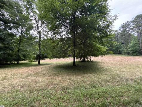 1087 Bobby Faucette Road Jonesville SC 29353