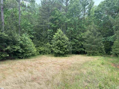 1087 Bobby Faucette Road Jonesville SC 29353