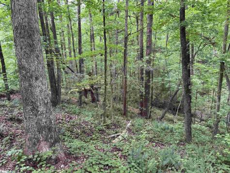 1087 Bobby Faucette Road Jonesville SC 29353