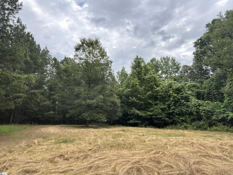 1087 Bobby Faucette Road Jonesville SC 29353