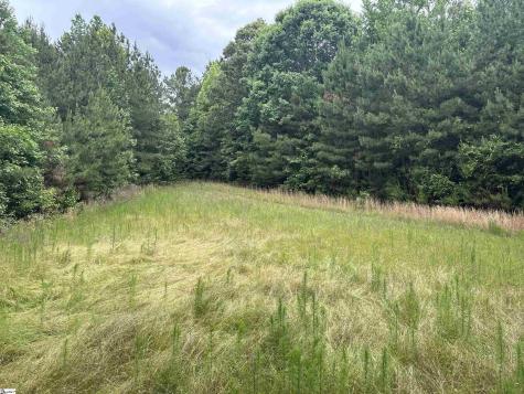 1087 Bobby Faucette Road Jonesville SC 29353