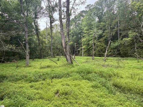 1087 Bobby Faucette Road Jonesville SC 29353