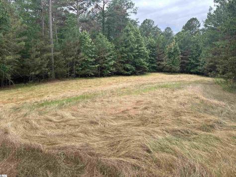 1087 Bobby Faucette Road Jonesville SC 29353