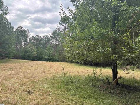 1087 Bobby Faucette Road Jonesville SC 29353