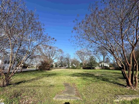 00 David Street Greenville SC 29607